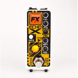 Rainger FX Echo-X Digital Delay (& Igor) Mini-Pedal
